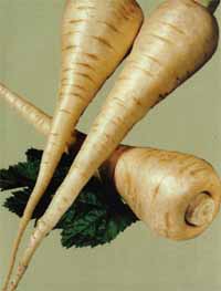 Parsnips